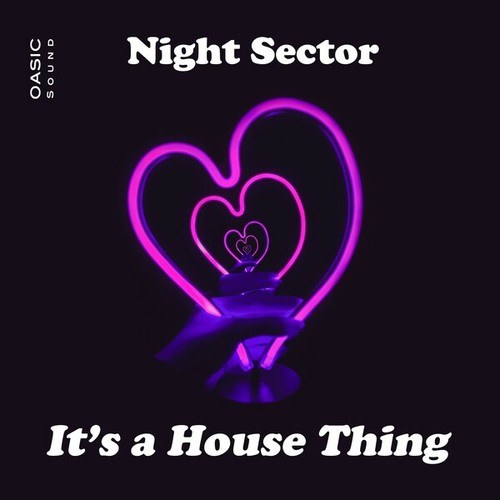 Night Sector-It's a House Thing