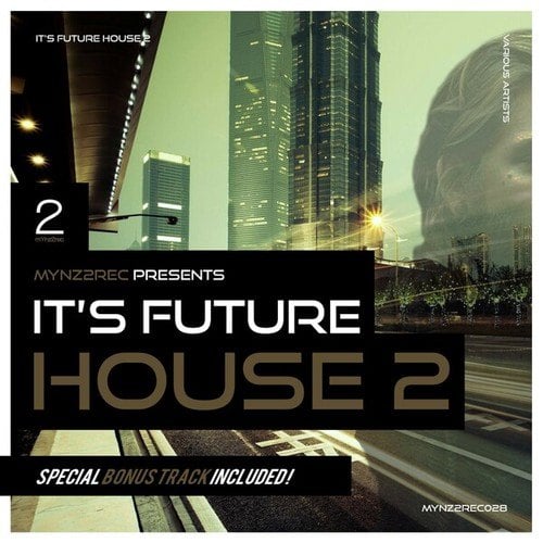 Various Artists-It's Future House!, Vol. 2