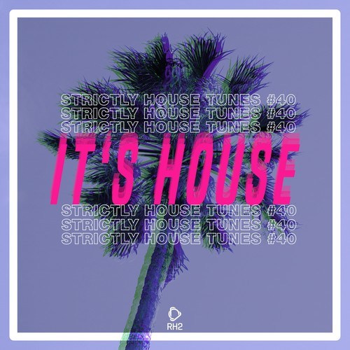 It's House: Strictly House, Vol. 40