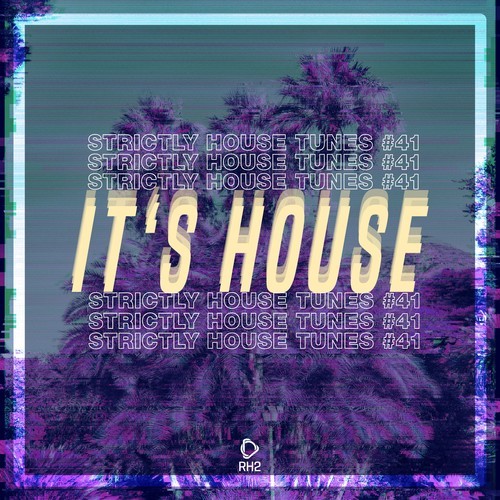 It's House: Strictly House, Vol. 41