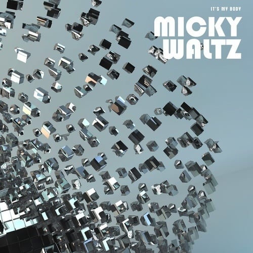 Micky Waltz-It's My Body