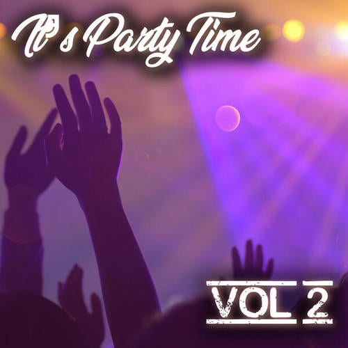 Various Artists-It's Party Time Vol. 2
