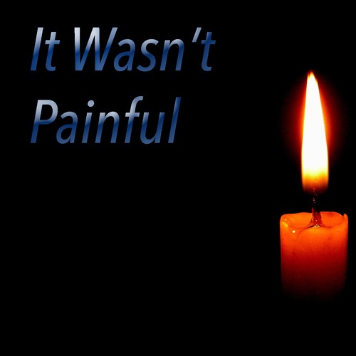 Various Artists-It Wasn't Painful