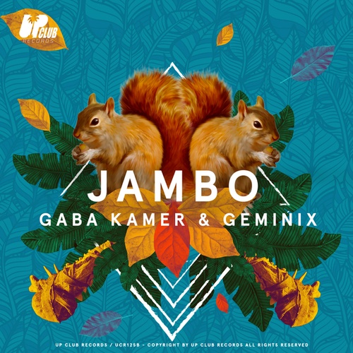 Geminix, Kamer-Jambo