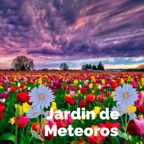 Wander Perez-Jardin De Meteoros