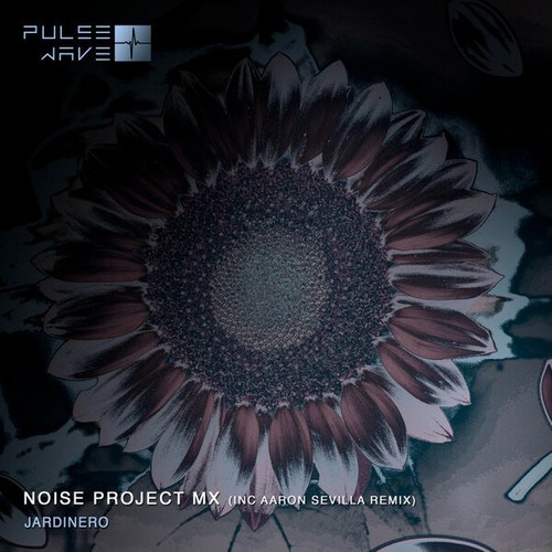 Noise Project Mx, Aaron Sevilla-Jardinero