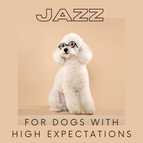 Jazz for Dogs with High Expectations
