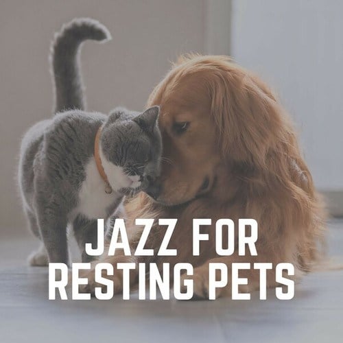 Jazz for Resting Pets