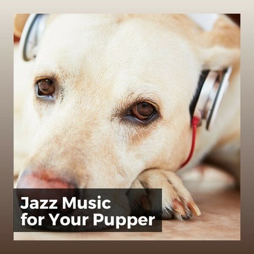 Jazz Music for Your Pupper