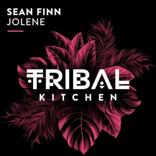 Sean Finn-Jolene (Extended Mix)