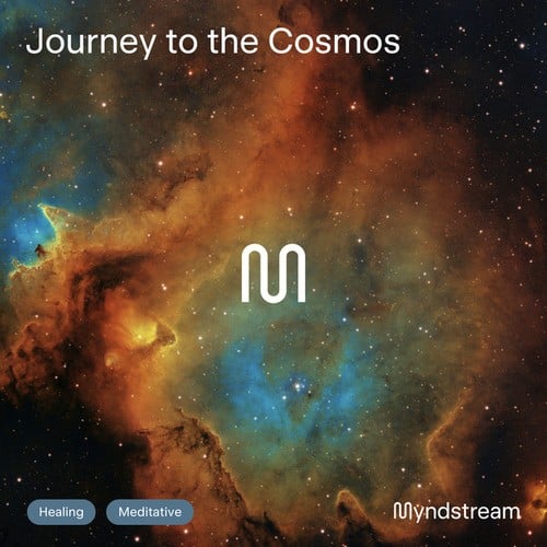 Journey to the Cosmos