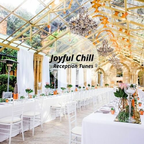 Various Artists-Joyful Chill Reception Tunes