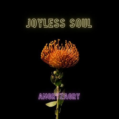 AngryZagry-Joyless Soul