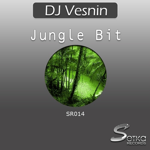 DJ Vesnin-Jungle Bit