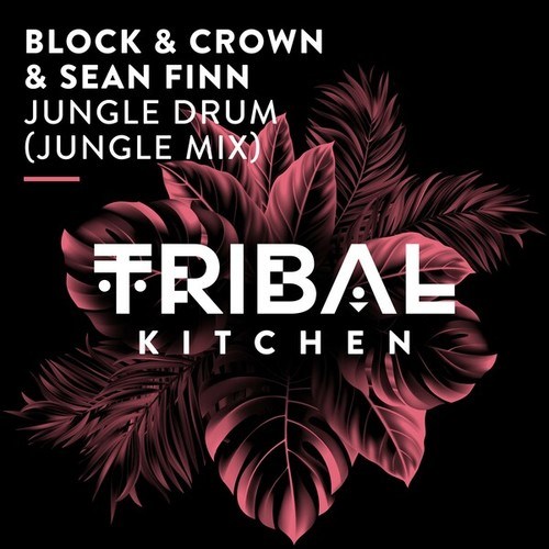 Block & Crown, Sean Finn-Jungle Drum (Jungle Extended Mix)