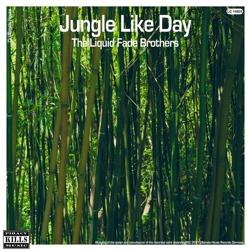 The Liquid Fade Brothers, Sovt-Jungle Like Day