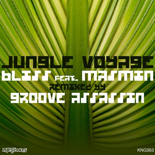 Bliss, Masmin, Groove Assassin-Jungle Voyage