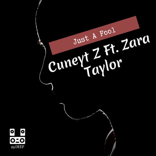 Cuneyt Z, Zara Taylor-Just A Fool (feat. Zara Taylor)