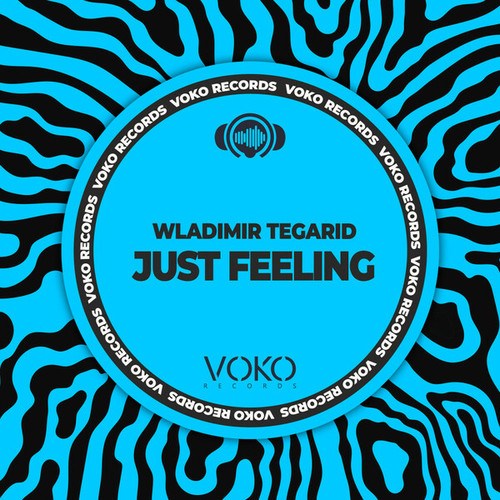 Wladimir Tegarid-Just Feeling