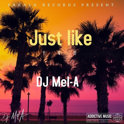 DJ Mel-A-Just Like You