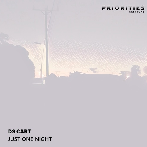 Ds Cart-Just One Night