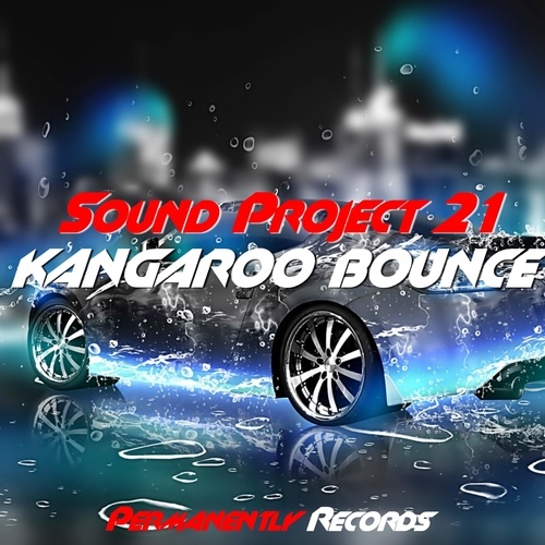 Sound Project 21-Kangaroo Bounce