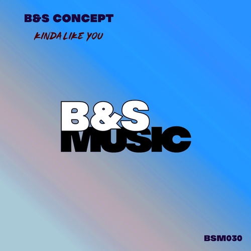 B&S Concept-Kinda Like You