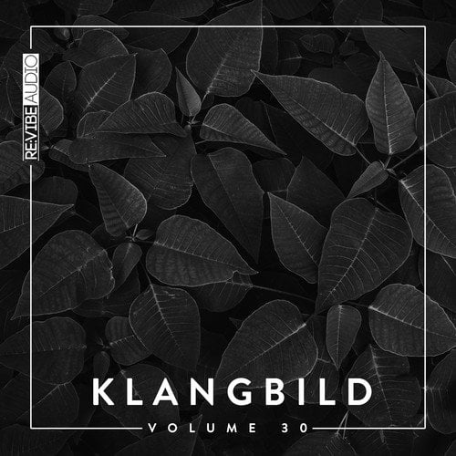 Various Artists-Klangbild, Vol. 30