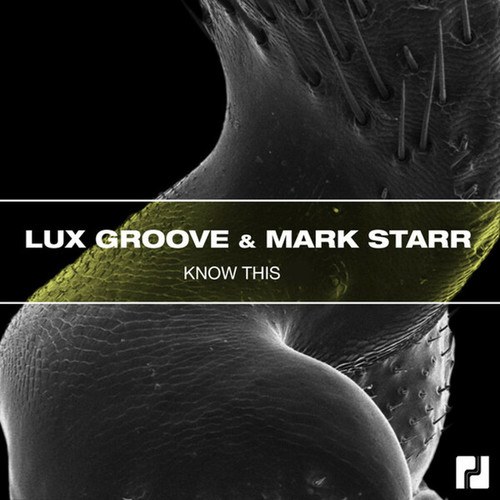 Lux Groove, Mark Starr-Know This
