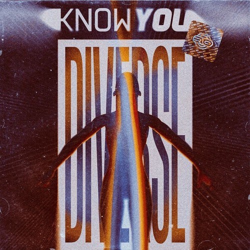 Diverse-Know You