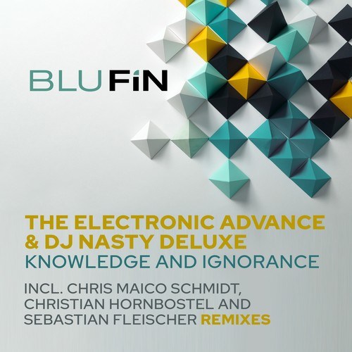 The Electronic Advance, DJ Nasty Deluxe, Christian Hornbostel, Sebastian Fleischer, Chris Maico Schmidt-Knowledge and Ignorance