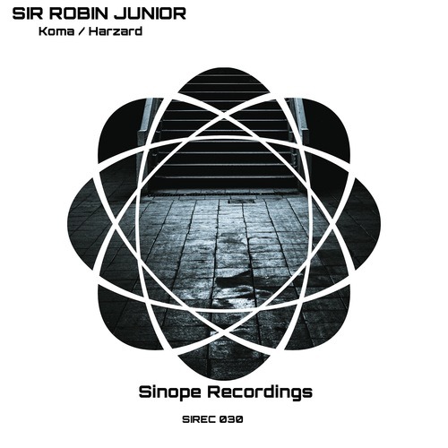 Sir Robin Junior-Koma