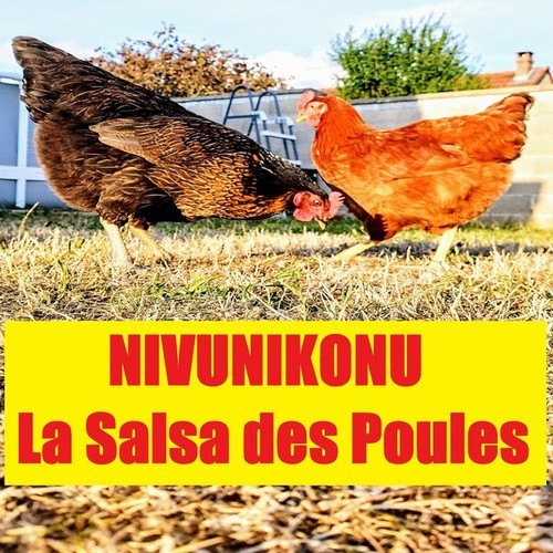 La salsa des poules