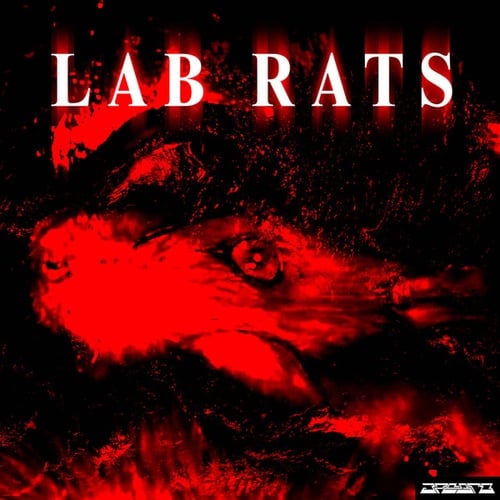 LAB RATS