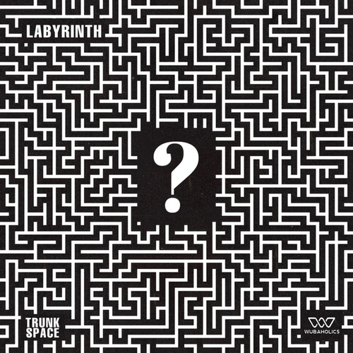 Trunk Space-Labyrinth
