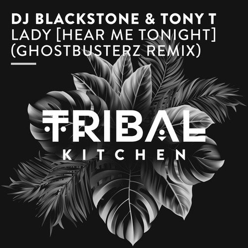 Dj Blackstone, Tony T, Ghostbusterz-Lady (Hear Me Tonight) [Ghostbusterz Remix]