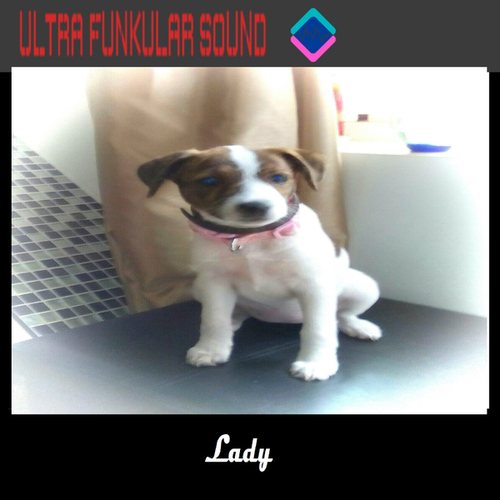 Ultra Funkular Sound-Lady