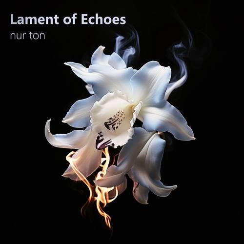 Lament of Echoes