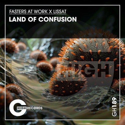 Fasters At Work, Lissat-Land of Confusion