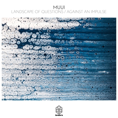 MUUI-Landscape of Questions / Against an Impulse