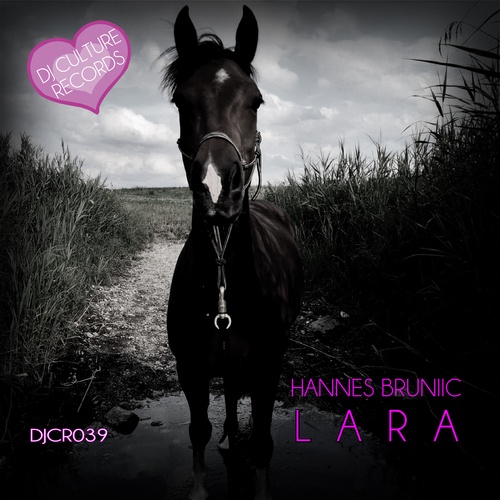 Hannes Bruniic-Lara