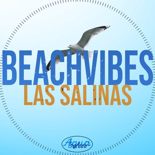 BeachVibes-Las Salinas
