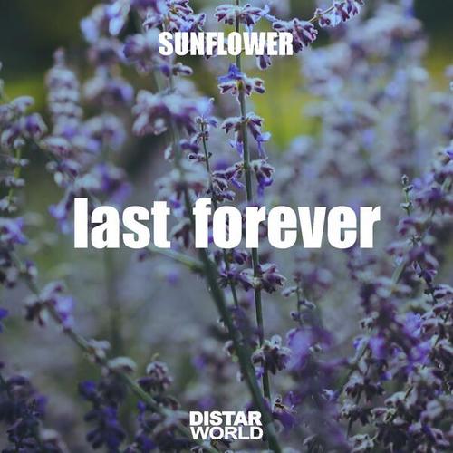 Last Forever