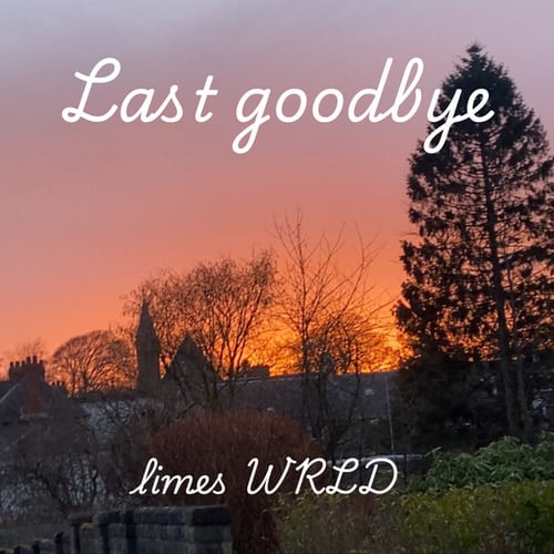 Last goodbye