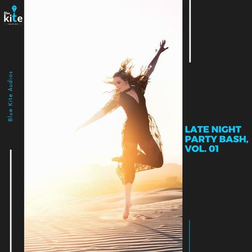 Various Artists-Late Night Party Bash, Vol. 01