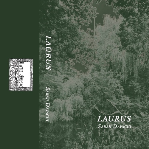 Laurus