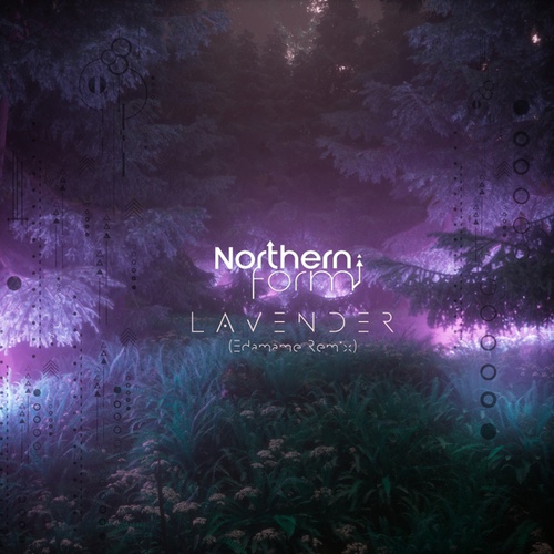 Northern Form, Edamame-Lavender