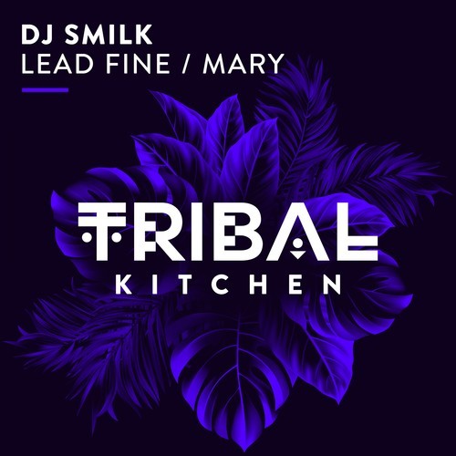 Dj Smilk-Lead Fine / Mary