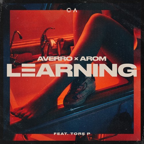 Learning (Extended Mix)
