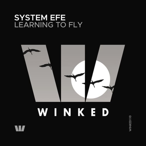 System Efe-Learning to Fly